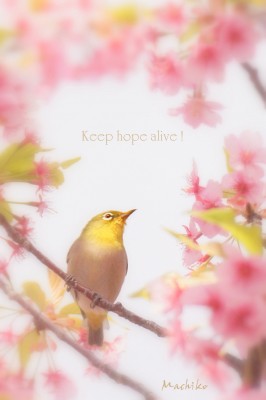 Keep hope alive !